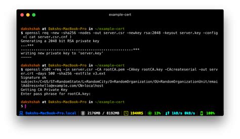 https localhost 11501 download|How to get HTTPS working on your local development environment in .